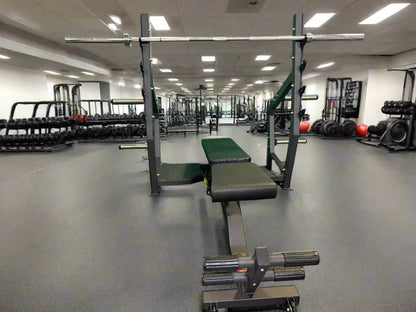 SFE Fully Adjustable Olympic Bench Press, Full Incline & Decline (New)
