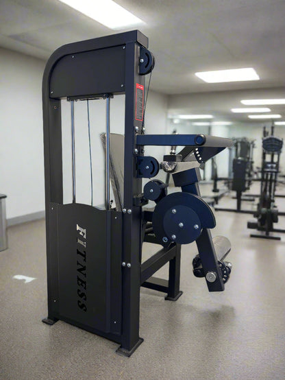SFE Selectorized Seated Leg Extension & Leg Curl Machine w/ 250lb weight stack (New)