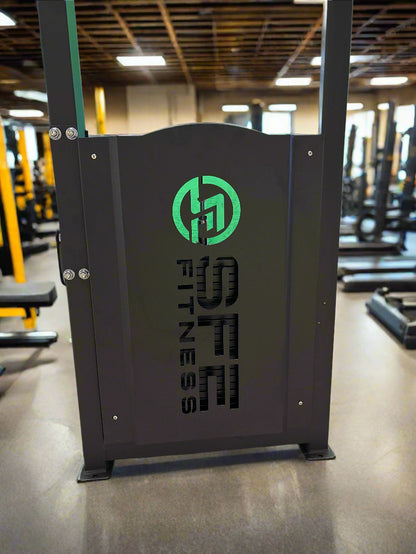 SFE Selectorized Back & Ab Combo Machine w/ 250LB weight stack (New)