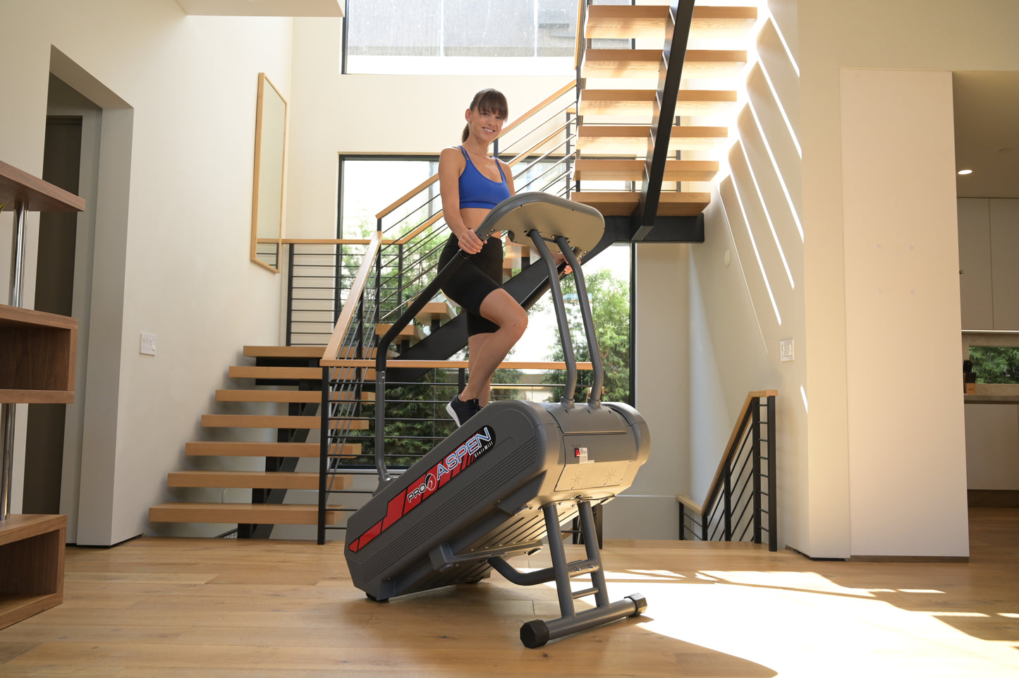 Pro 6 Aspen StairMill Stair Climber