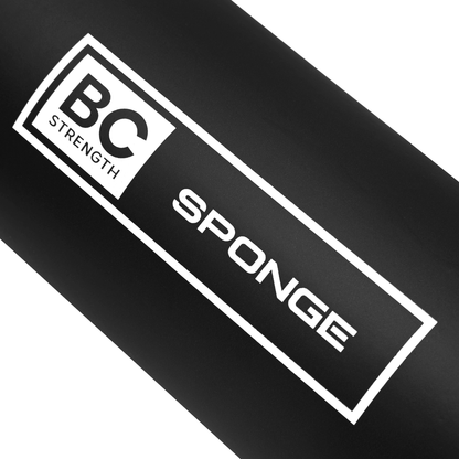 Sponge