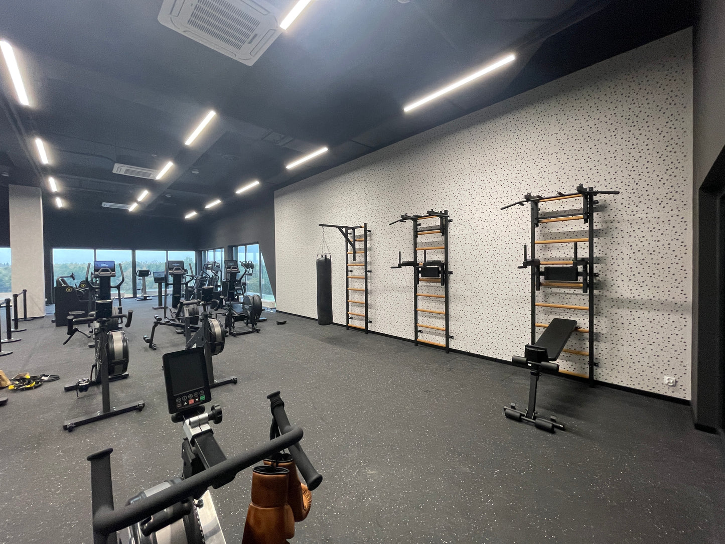 The 733B — pull-up bar, dip station, and bench on one wall.