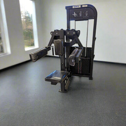 SFE Selectorized Lateral Raise Delt Machine w/ 250lb weight stacks (New)