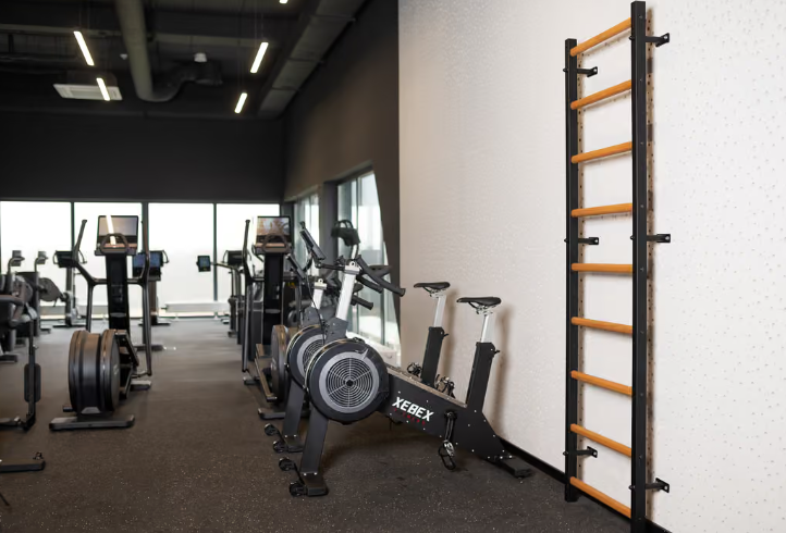 Wall bars BenchK 700
