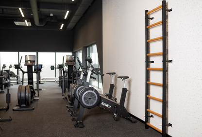 Wall bars BenchK 700
