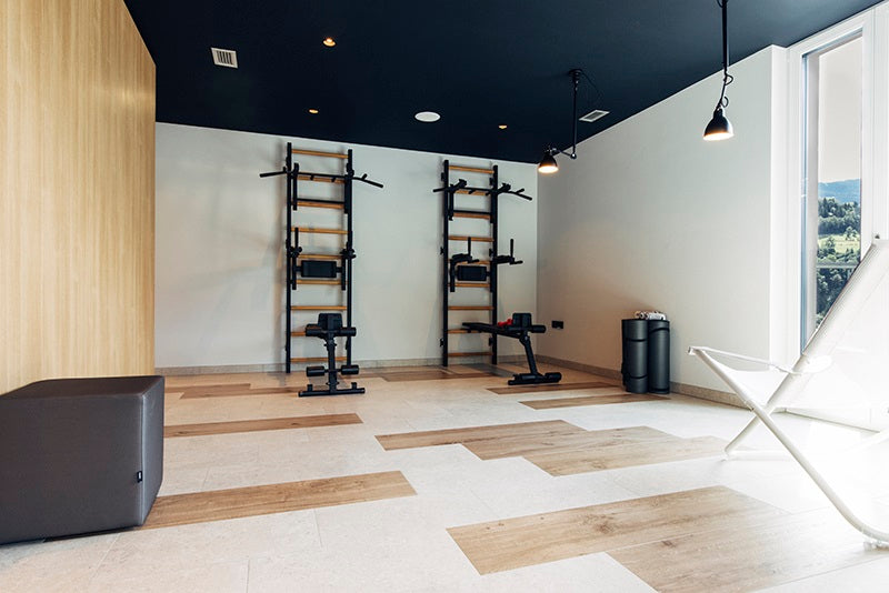 The 733B — pull-up bar, dip station, and bench on one wall.