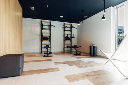 The 733B — pull-up bar, dip station, and bench on one wall.