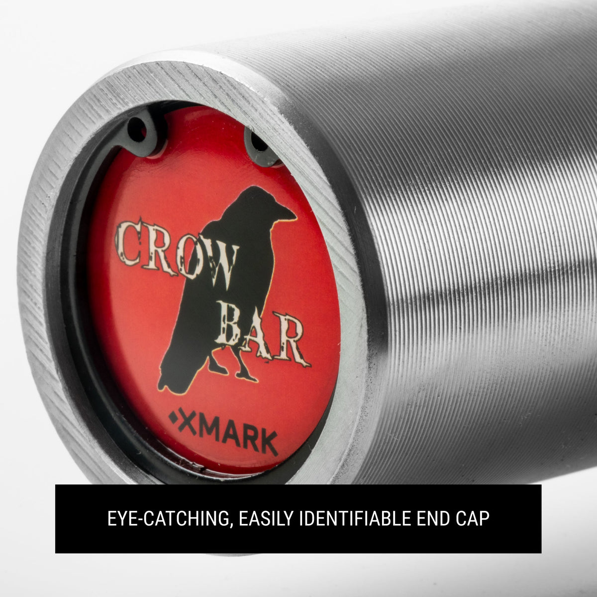Crowbar EZ Curl Barbell